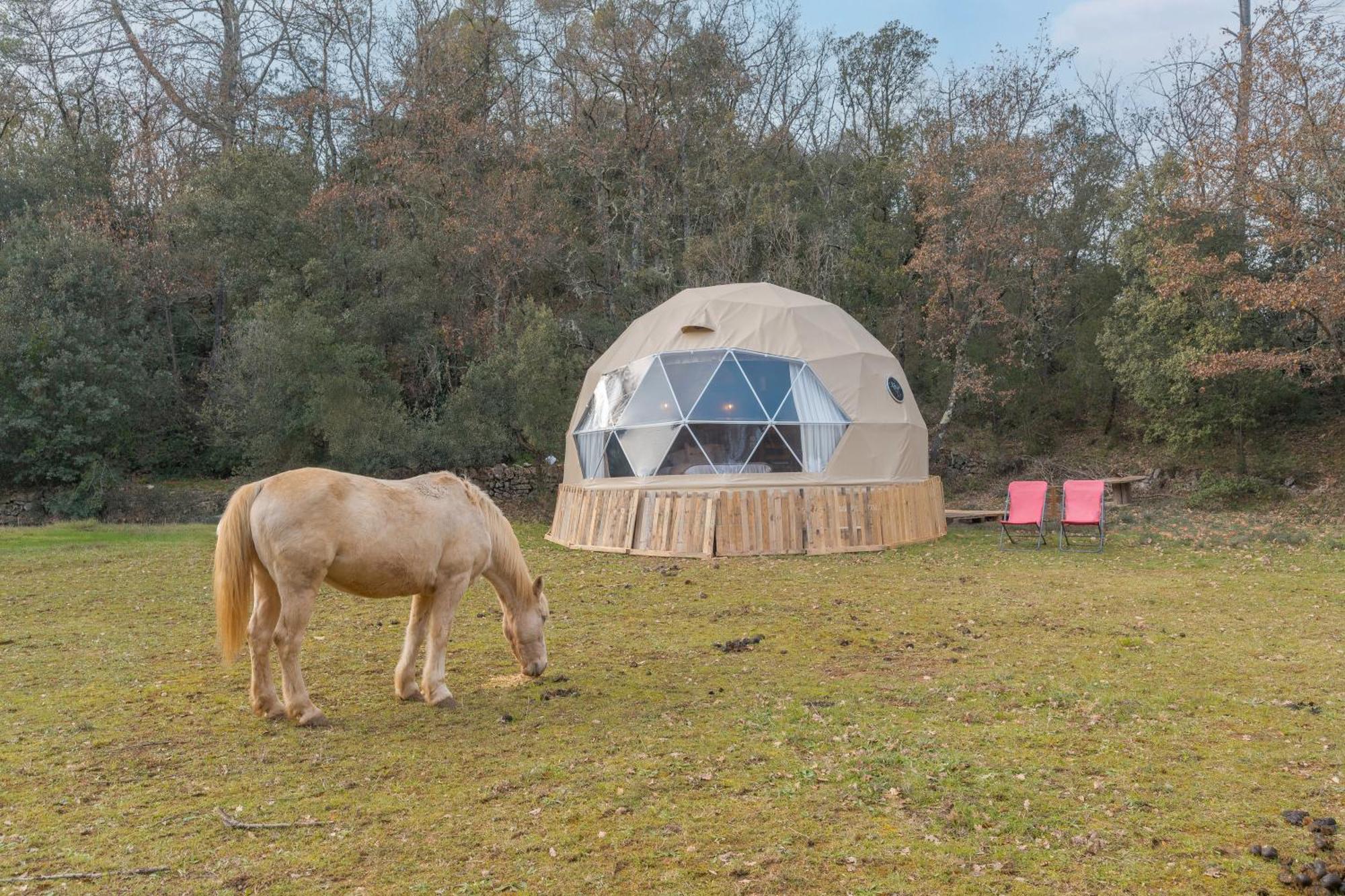 La Cabane Aux Chevaux Varages Buitenkant foto