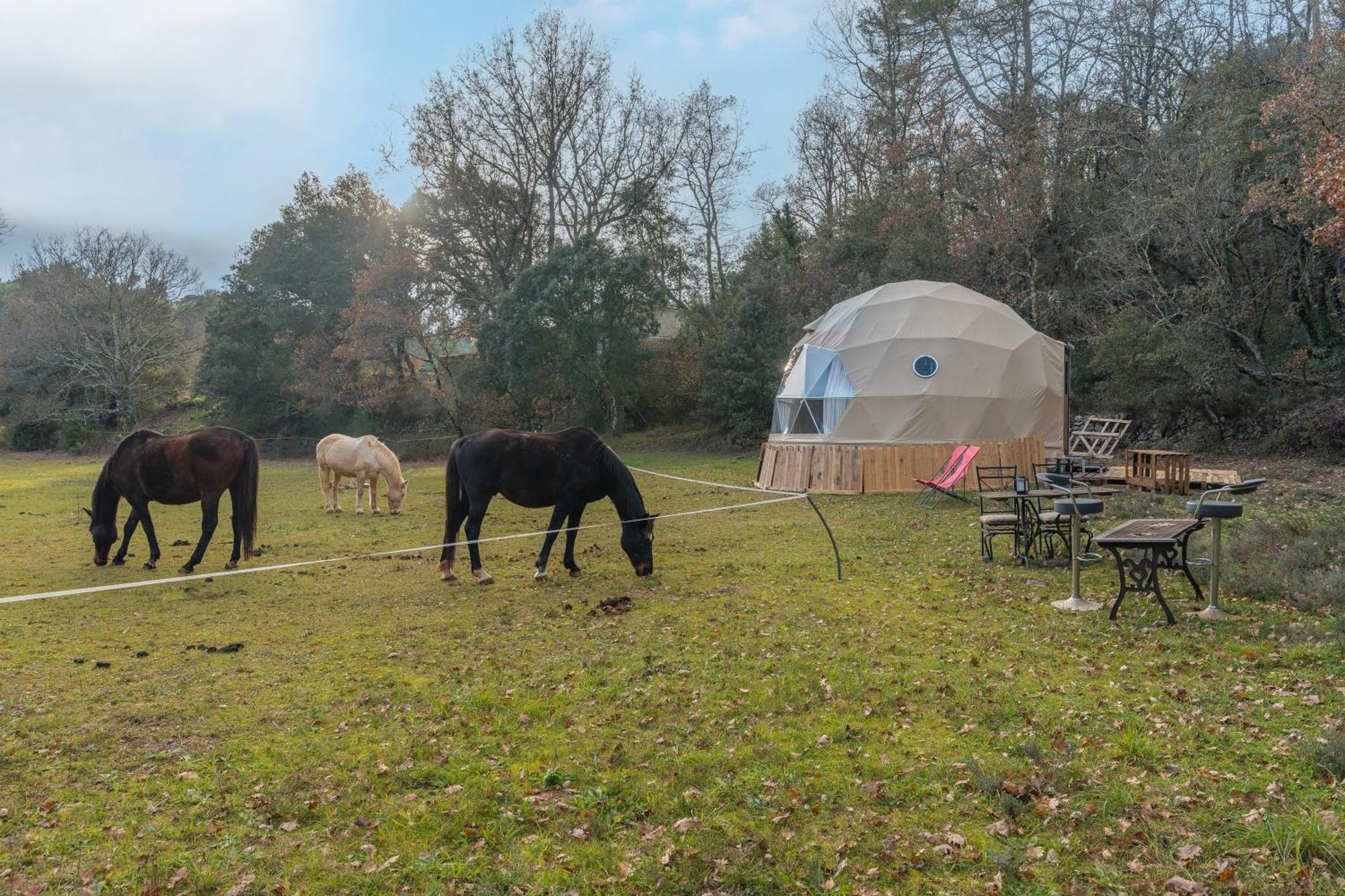 La Cabane Aux Chevaux Varages Buitenkant foto